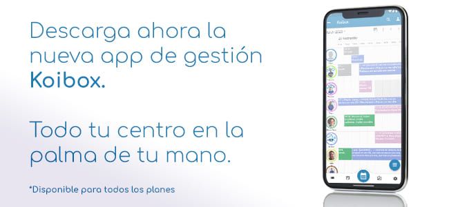 KOIBOX - Imagen 2