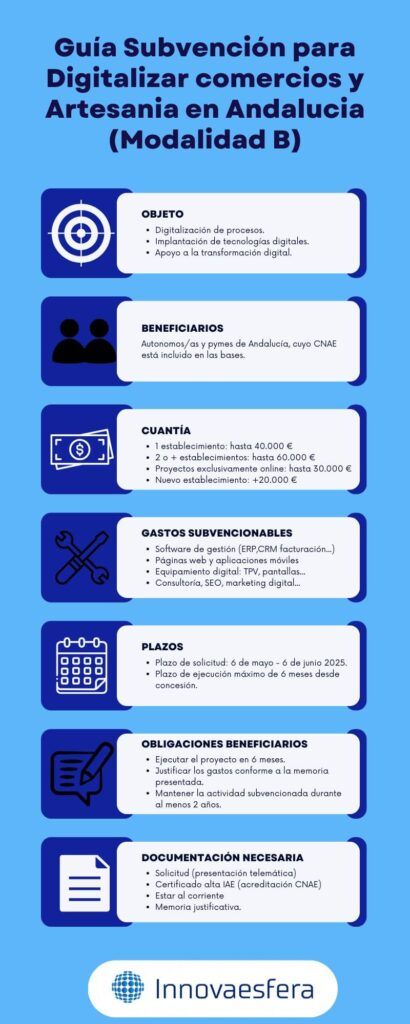 Infografía subvención digitalizacion andalucia